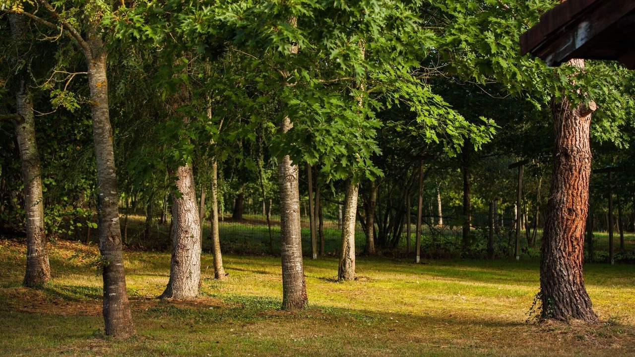 Photo of Outdoor in Amurrio
