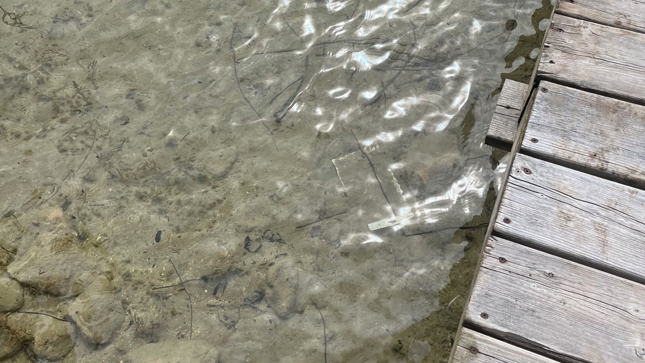 Photo of Others in Tobermory