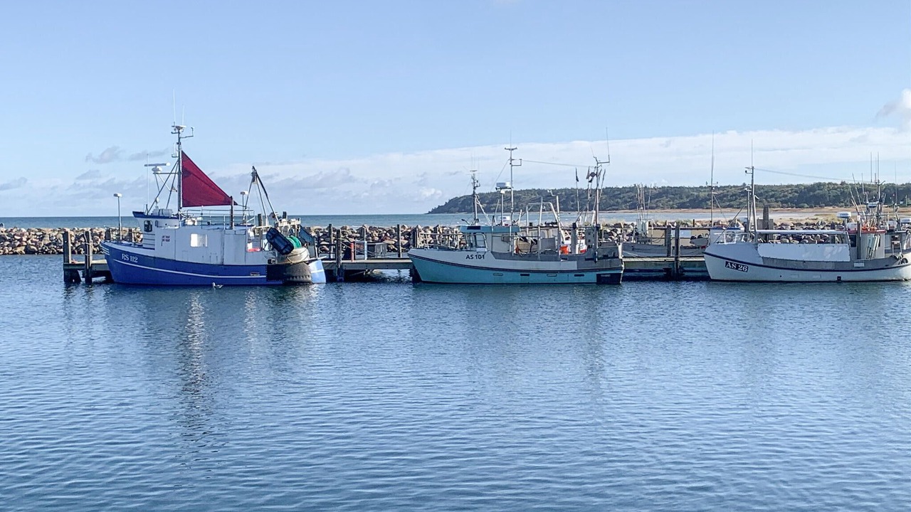 Photo of Others in Bønnerup Strand