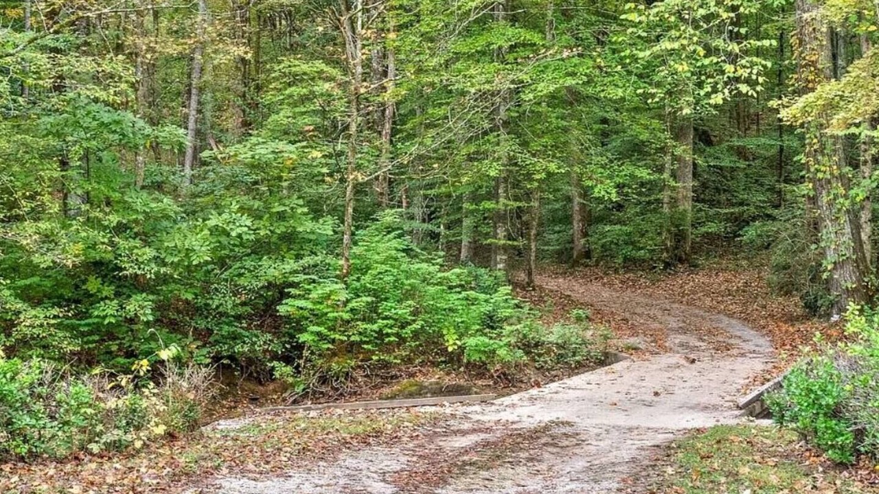 Photo of Others in Coopertown