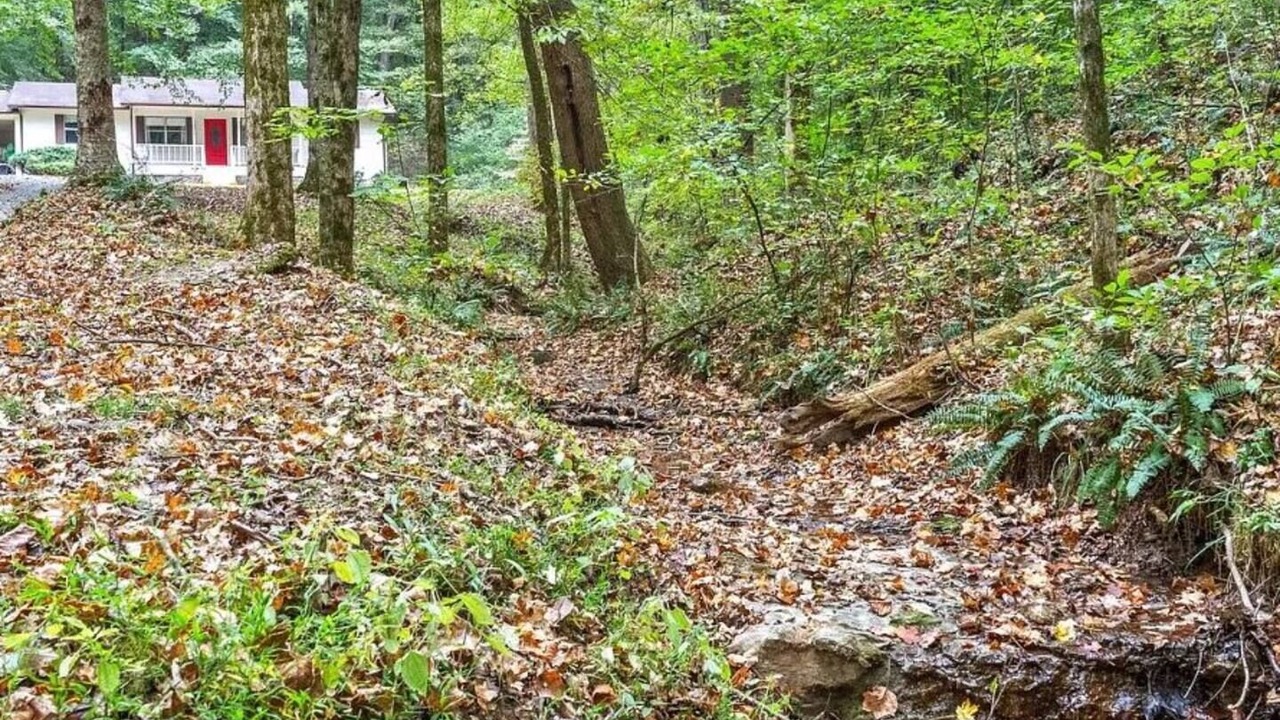 Photo of Outdoor in Coopertown