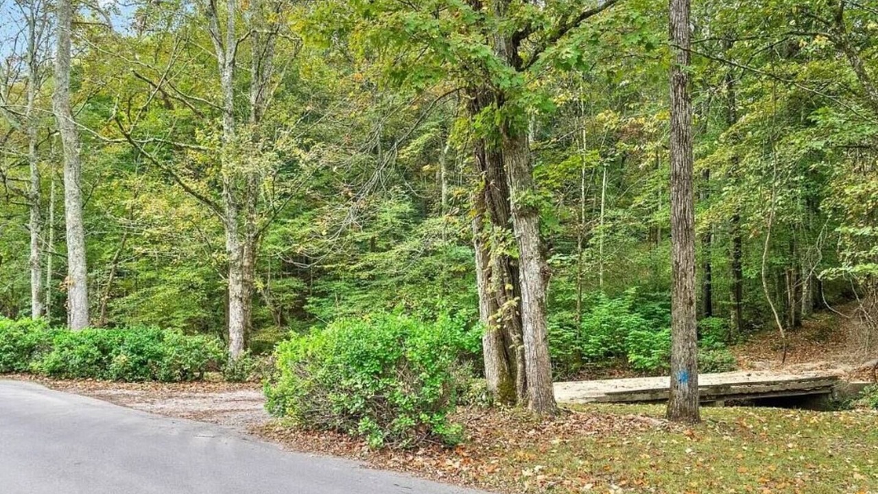 Photo of Others in Coopertown