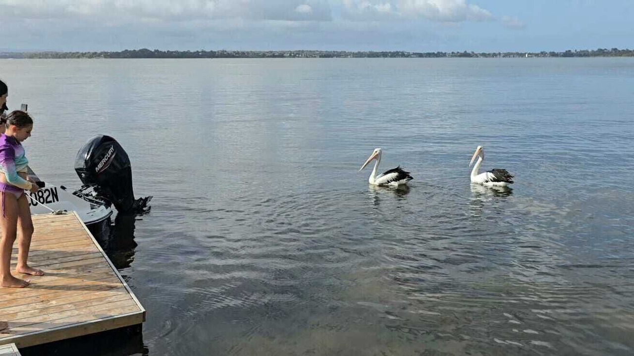 Photo of Others in Toukley