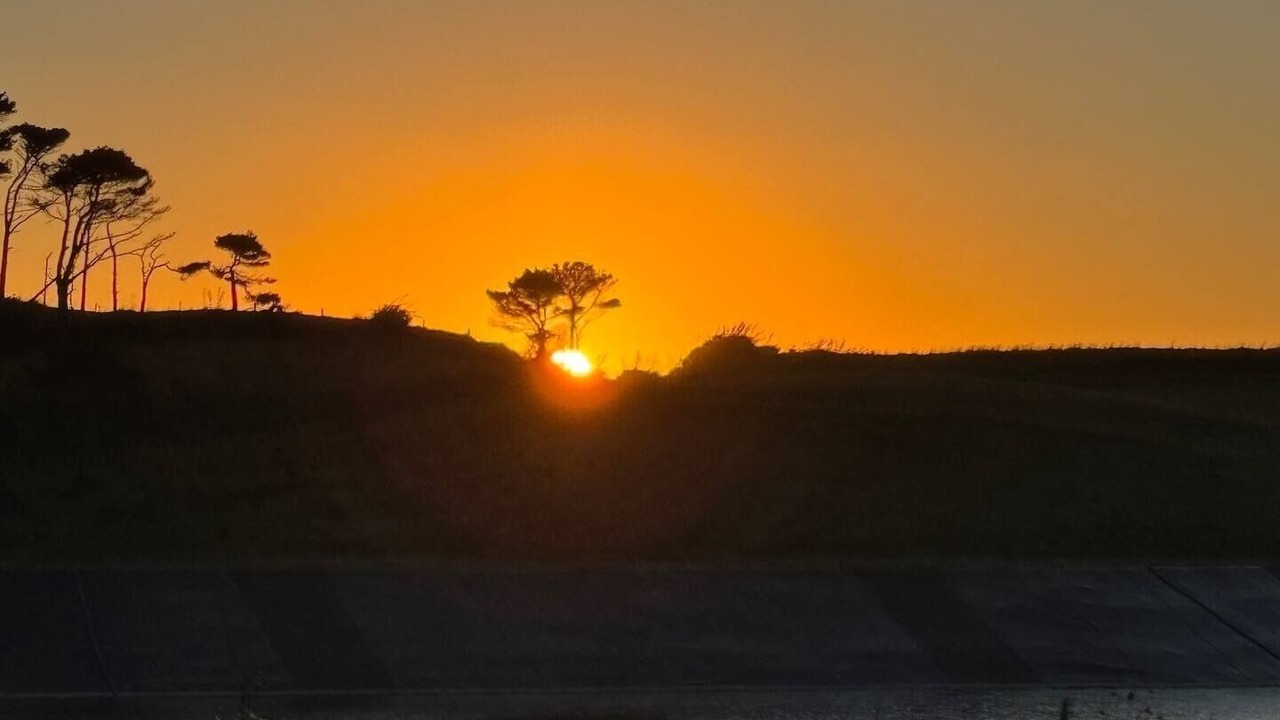 Photo of Others in Te Kopuru