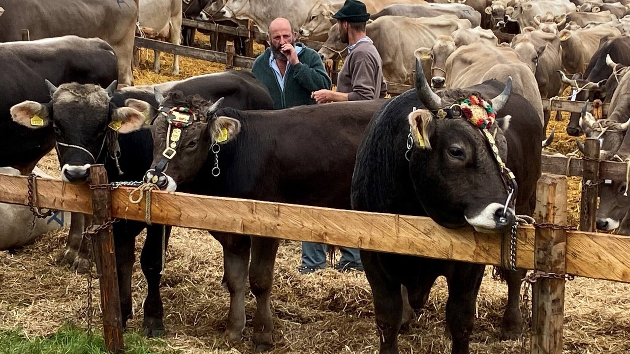 Photo of Others in Neckertal