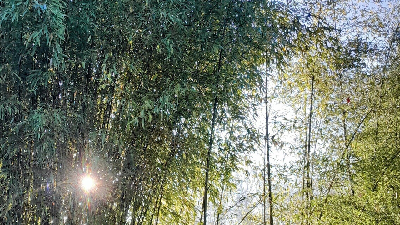 Photo of Others in Messe