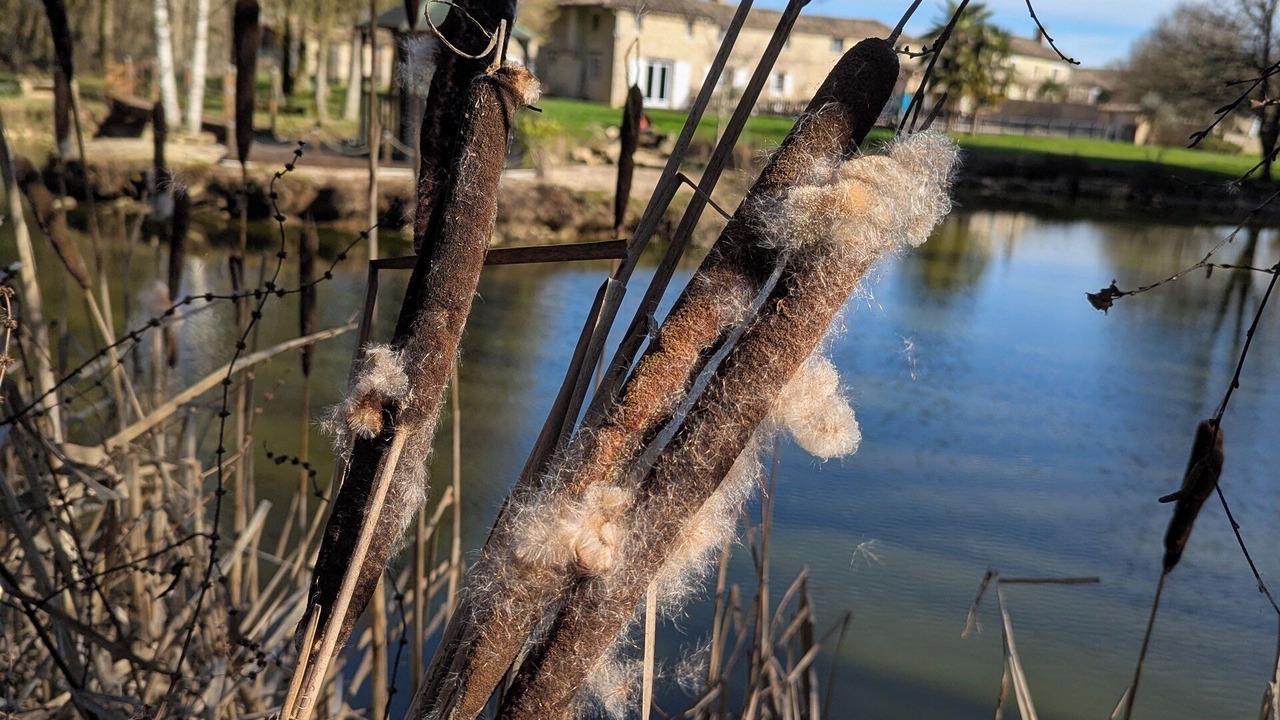 Photo of Others in Messe