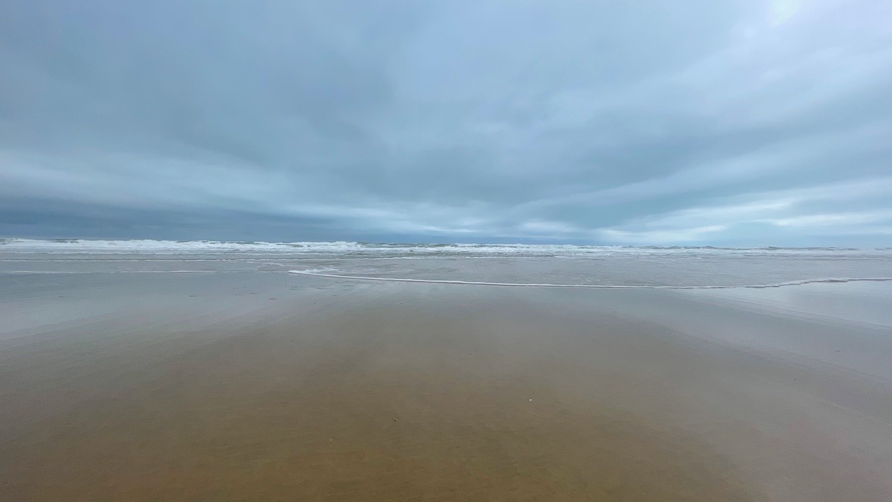 Photo of Others in Les Mathes