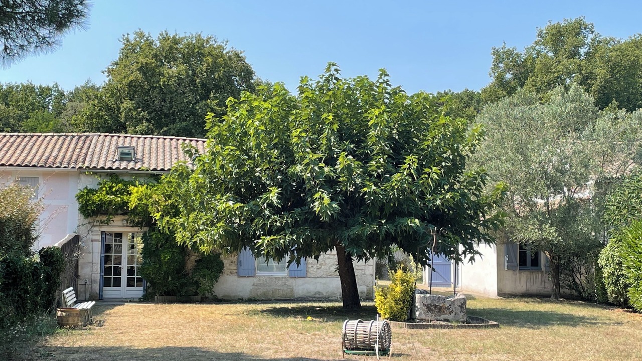 Photo of Outdoor in Les Mathes