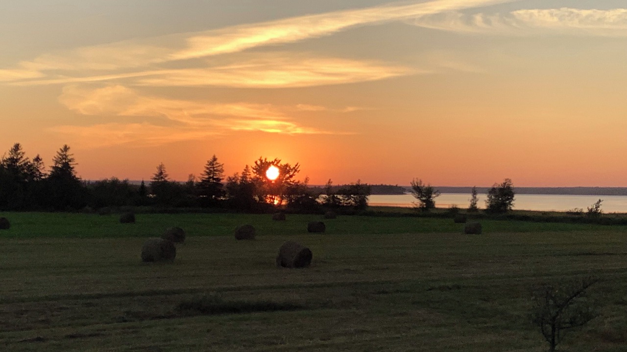 Photo of Others in Northumberland County