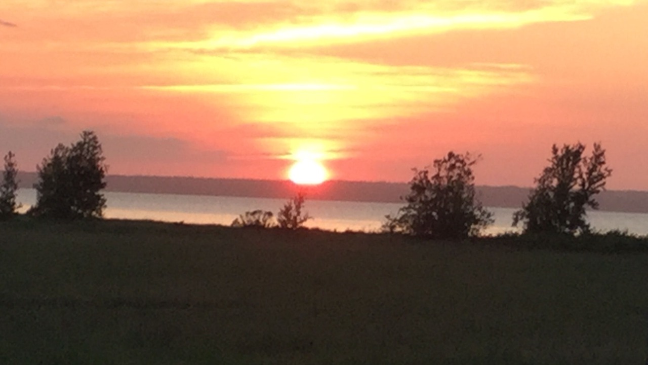 Photo of Others in Northumberland County