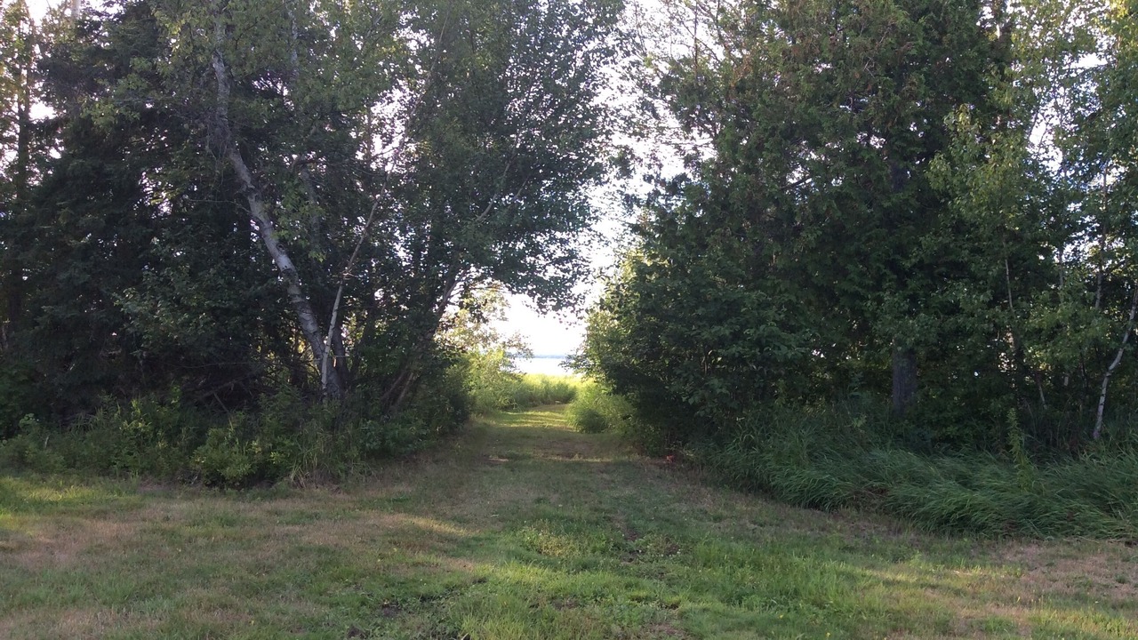 Photo of Others in Northumberland County