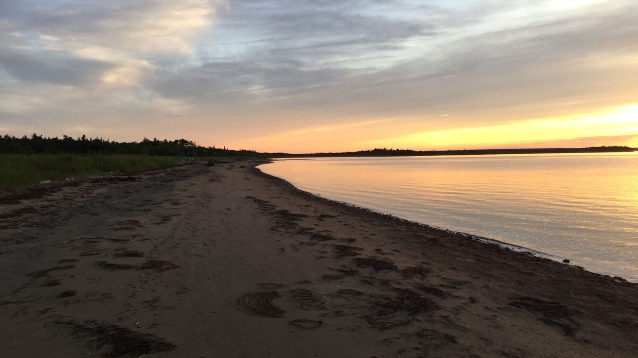 Photo of Others in Northumberland County