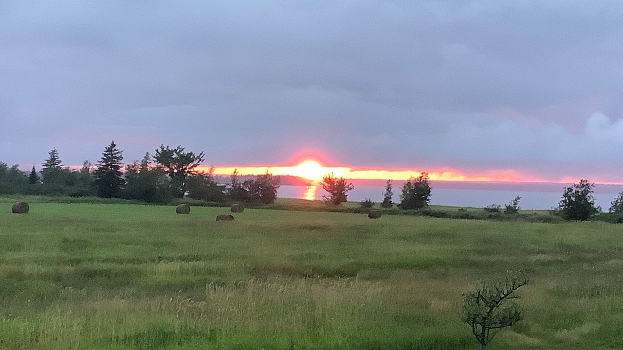 Photo of Others in Northumberland County