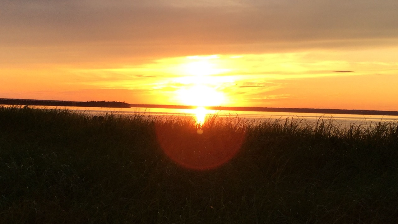 Photo of Others in Northumberland County