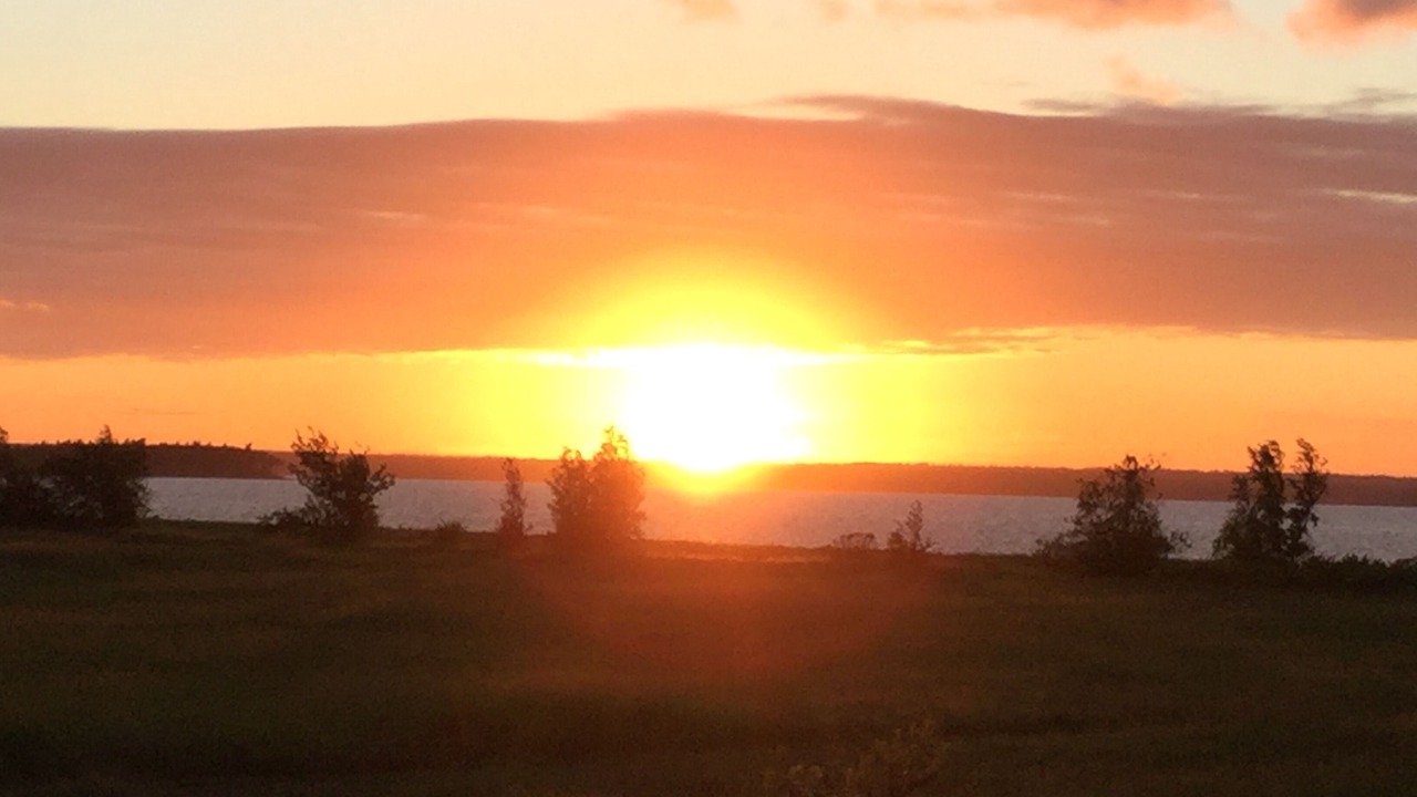 Photo of Others in Northumberland County