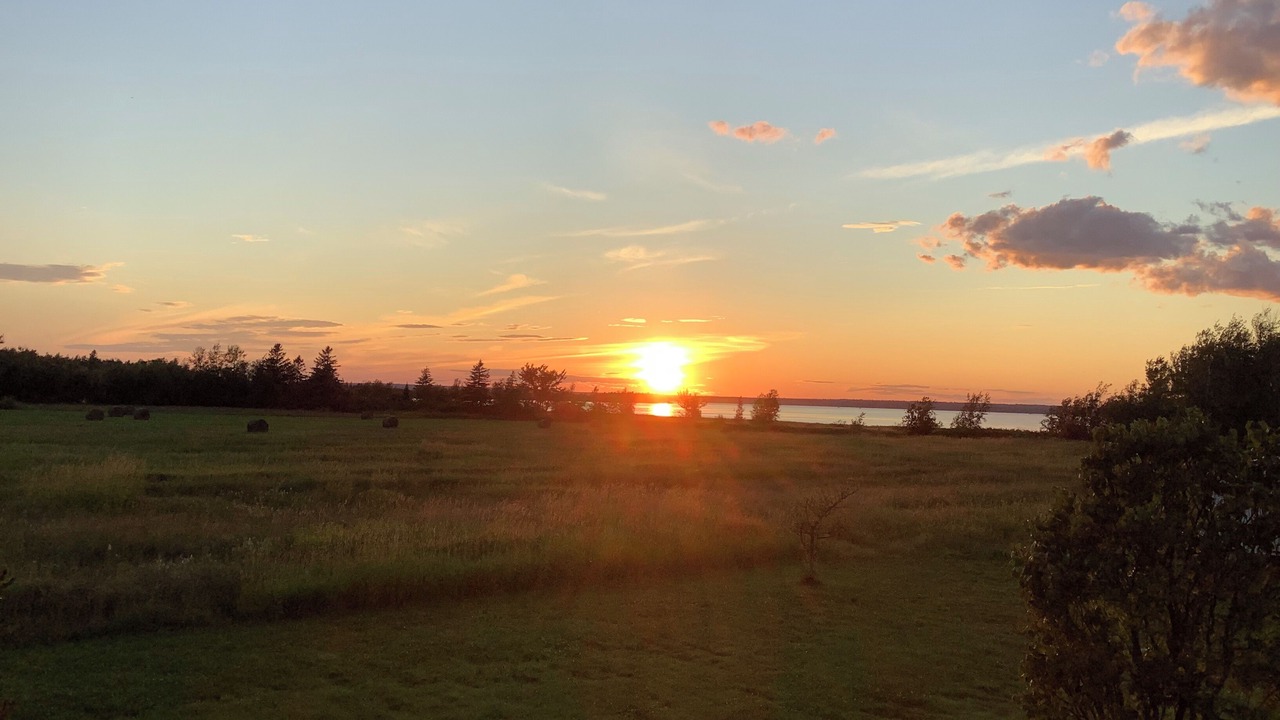 Photo of Others in Northumberland County