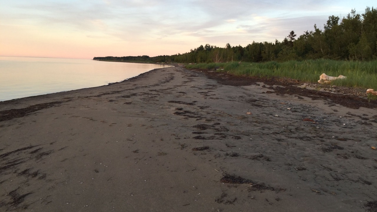 Photo of Others in Northumberland County