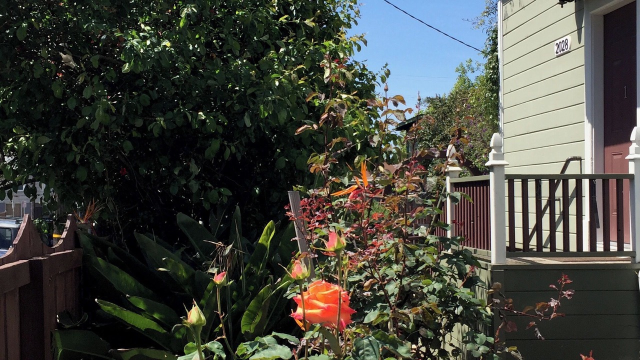 Photo of Outdoor in Southwest Berkeley