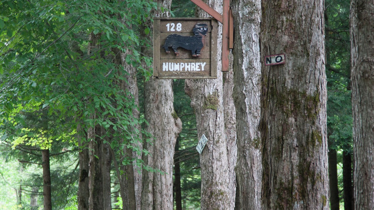 Photo of Outdoor in Town of Russia