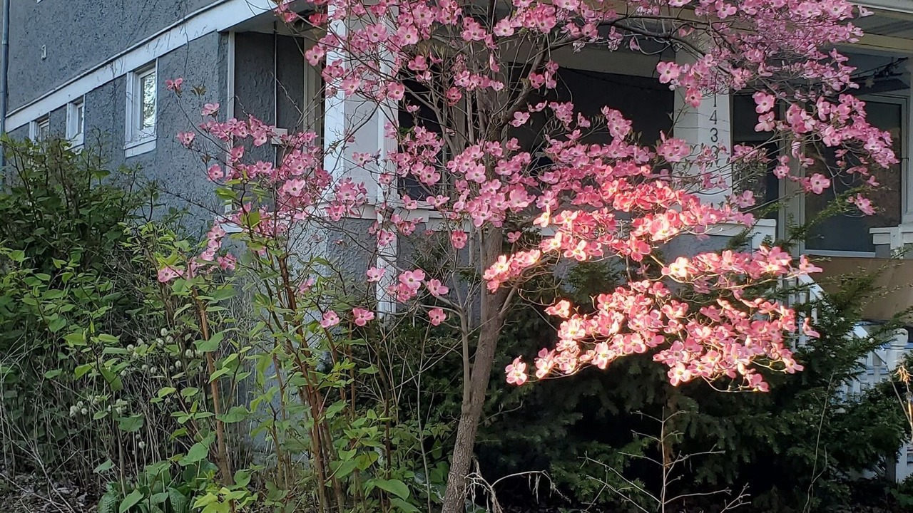 Photo of Outdoor in Evanston