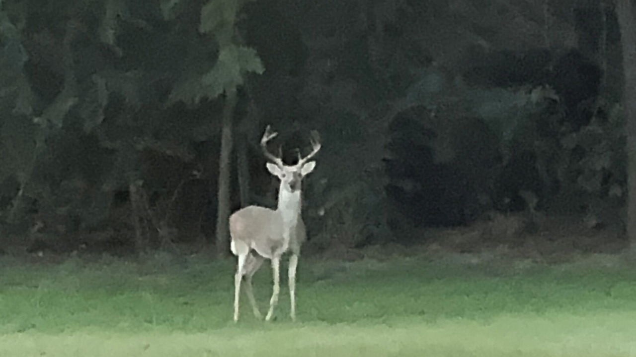 Photo of Others in Fort Worth