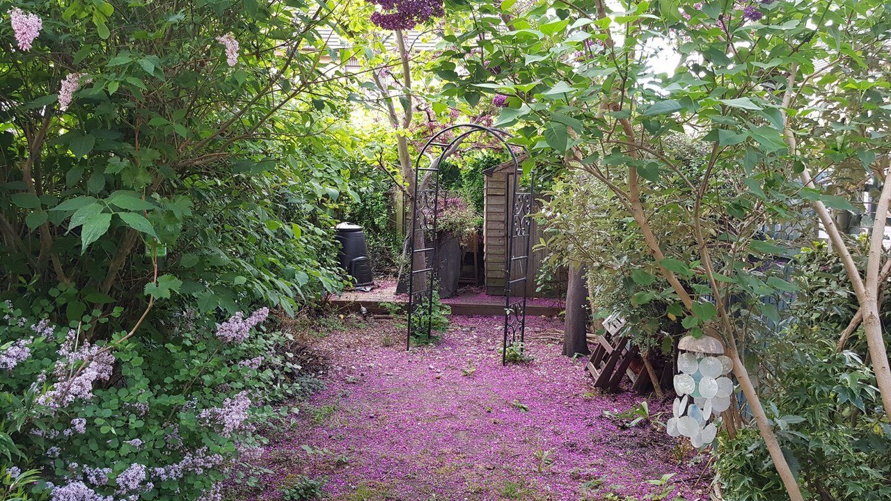 Photo of Outdoor in Bow West