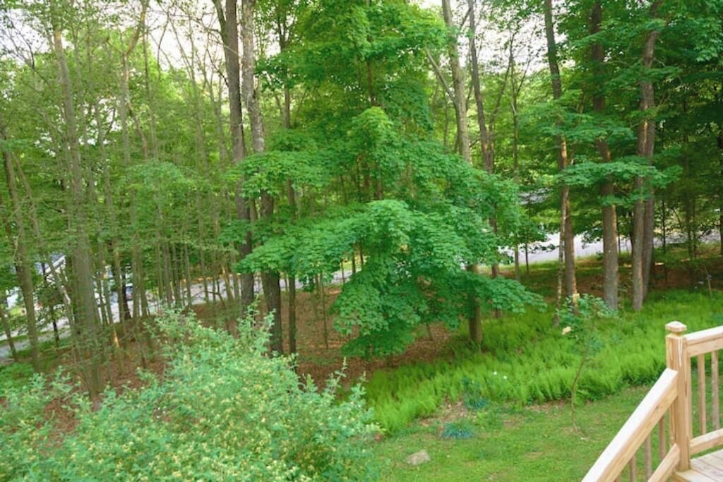 Photo of Outdoor in Eagles Mere