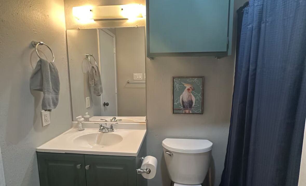 Photo of Bathroom in Central Arlington