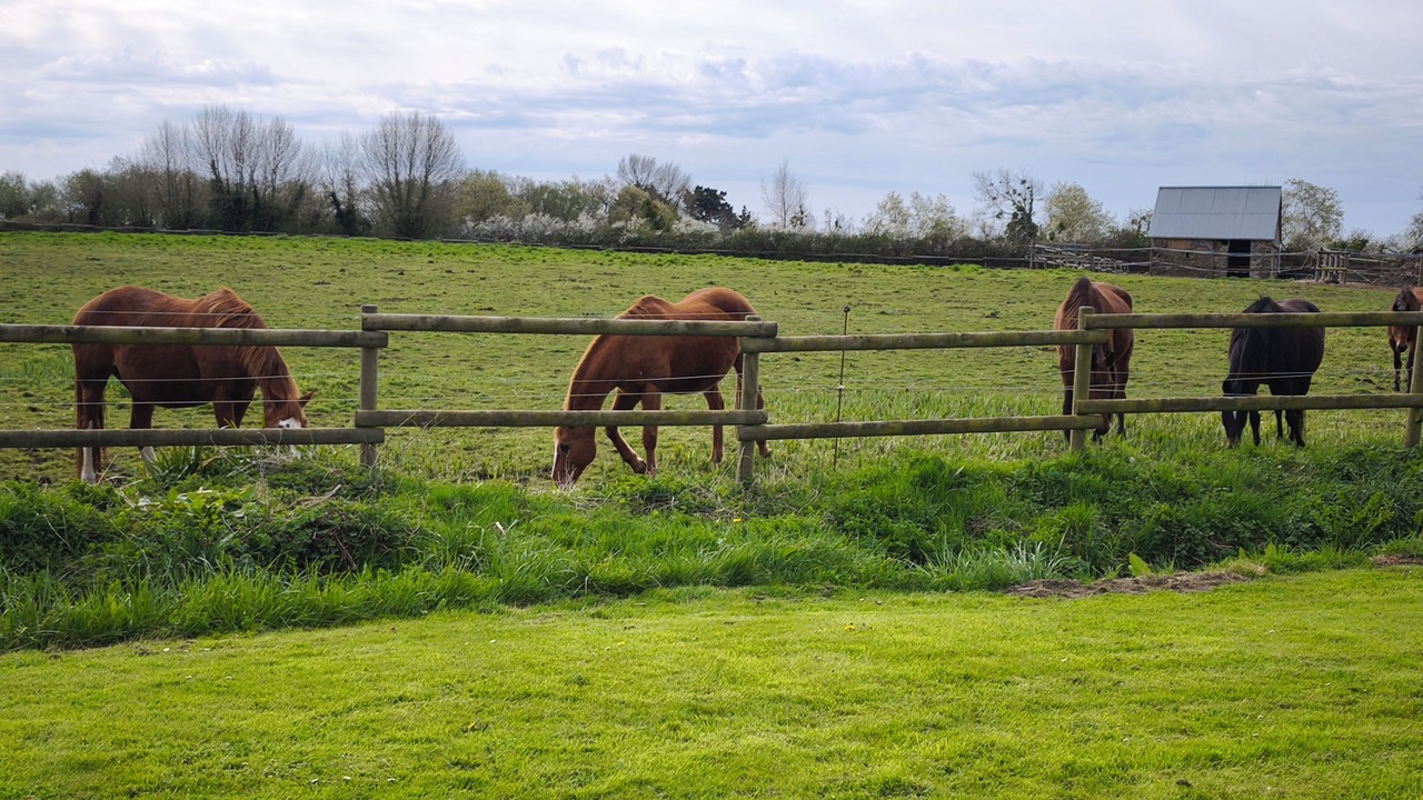 Photo of Others in Saint-Germain-sur-Ay