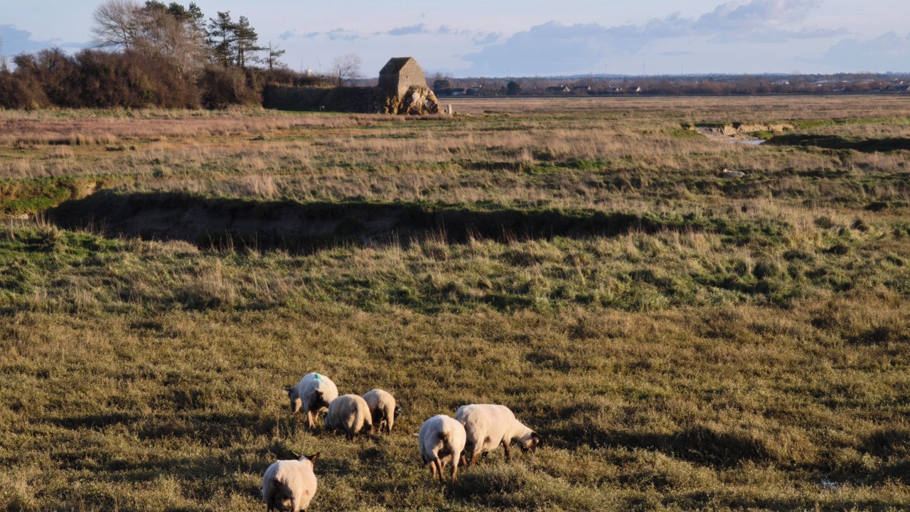 Photo of Others in Saint-Germain-sur-Ay