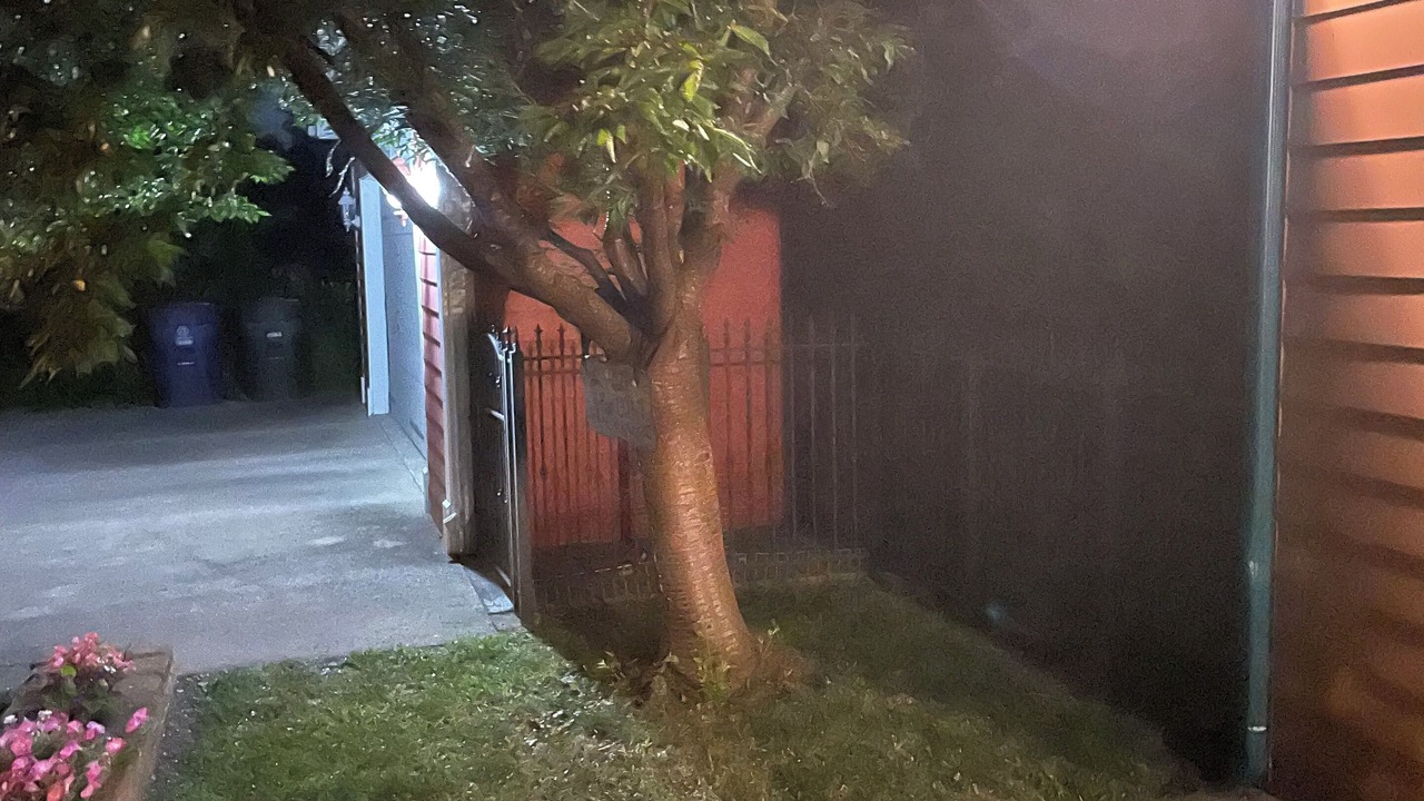 Photo of Outdoor in Paducah