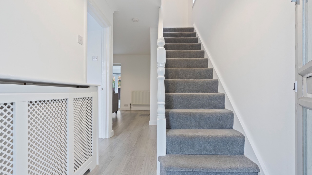 Photo of Others in Little Holland