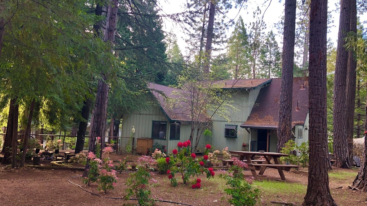 Photo of Outdoor in Placerville