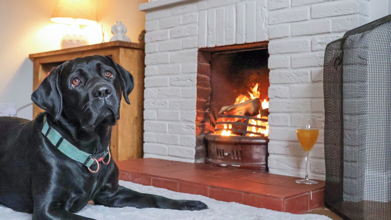 Photo of Others in North Dalton