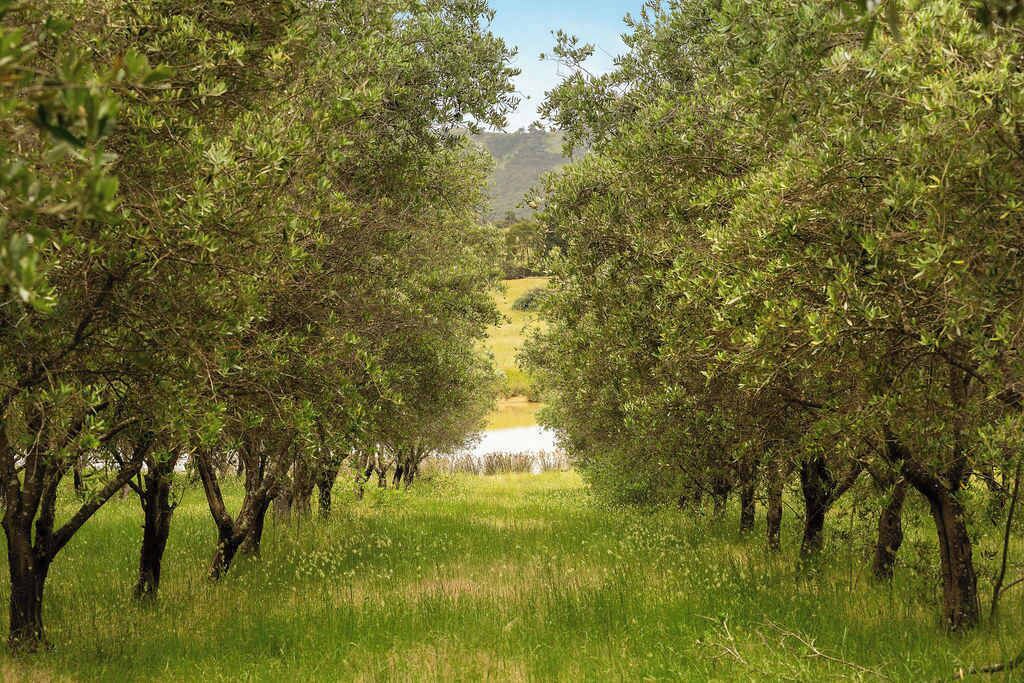 Photo of Others in Taggerty