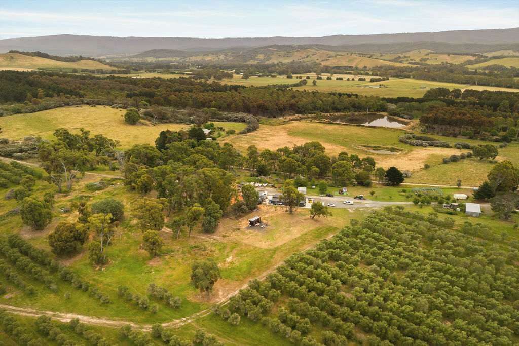 Photo of Outdoor in Taggerty