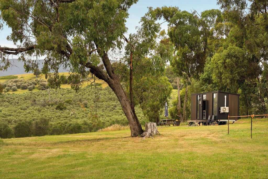 Photo of Outdoor in Taggerty