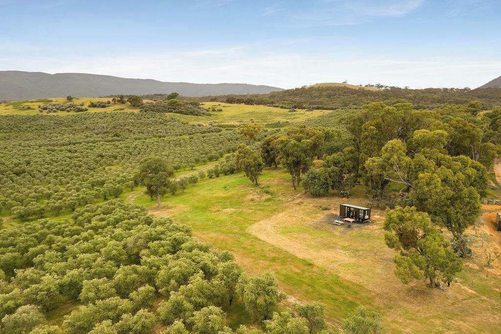 Photo of Outdoor in Taggerty