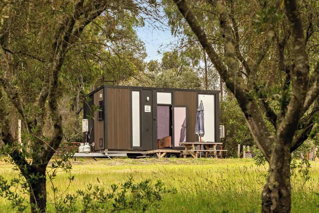 Photo of Outdoor in Taggerty