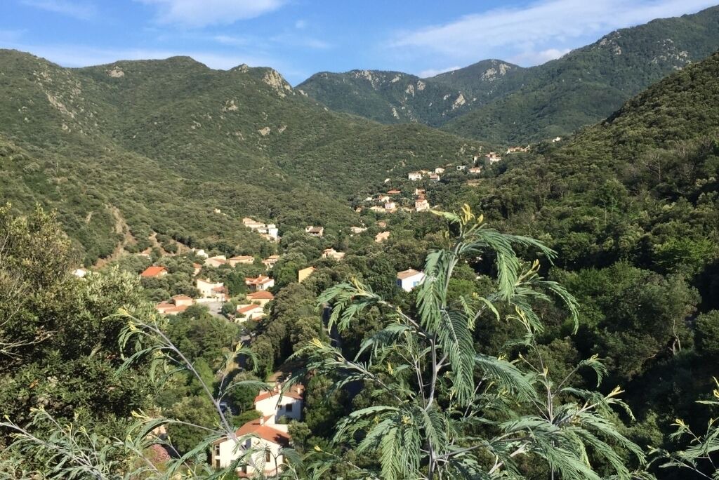 Photo of Others in Sorede
