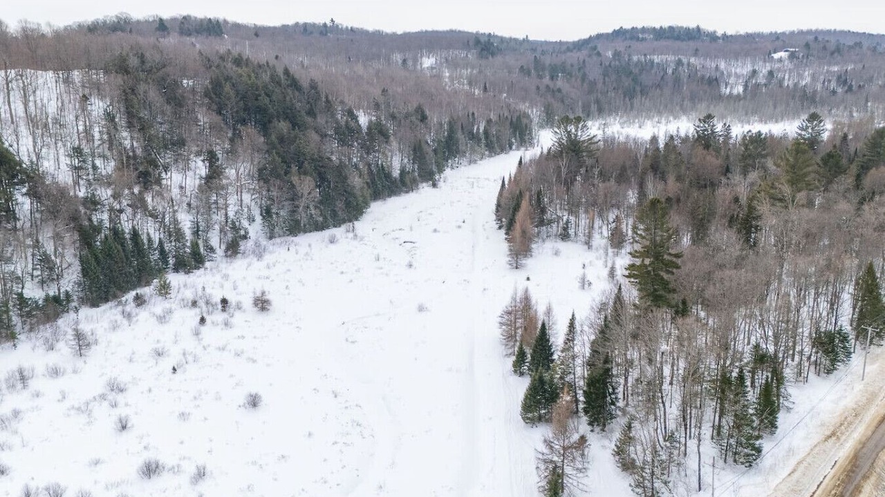 Photo of Others in Pine Hill
