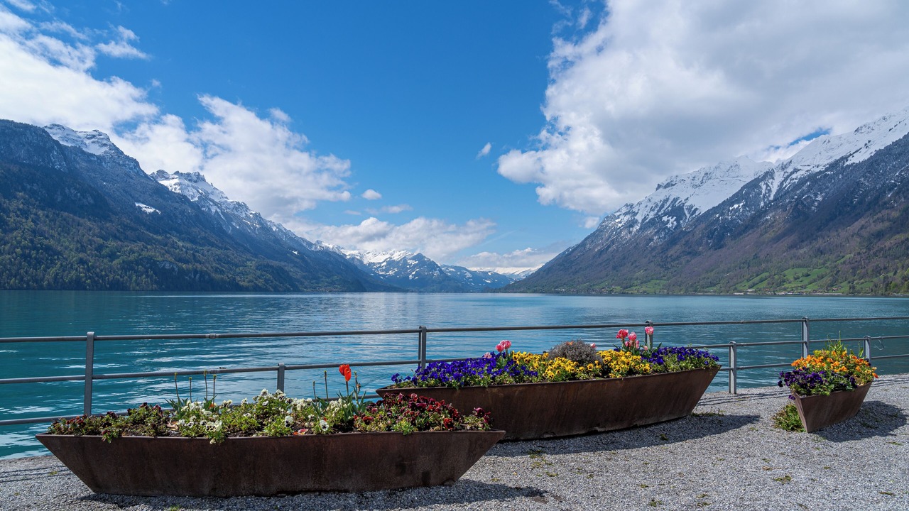 Photo of Others in Brienz