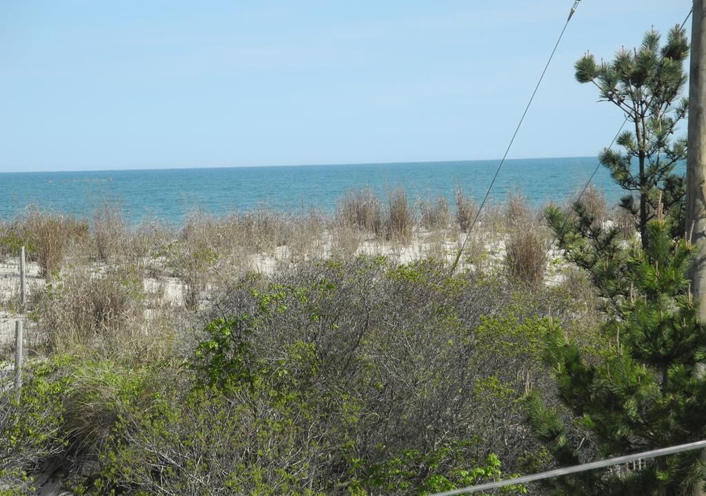 Photo of Others in Harvey Cedars