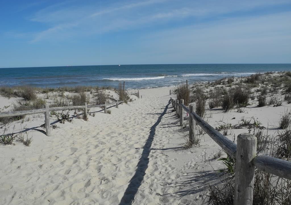 Photo of Others in Harvey Cedars