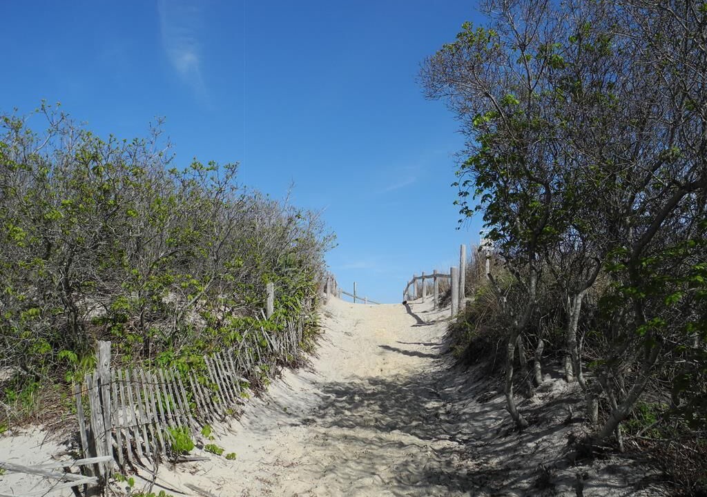 Photo of Others in Harvey Cedars