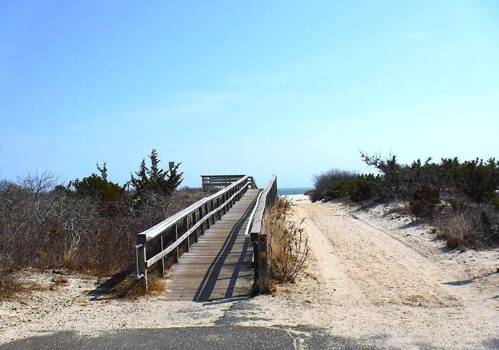 Photo of Others in Barnegat Light