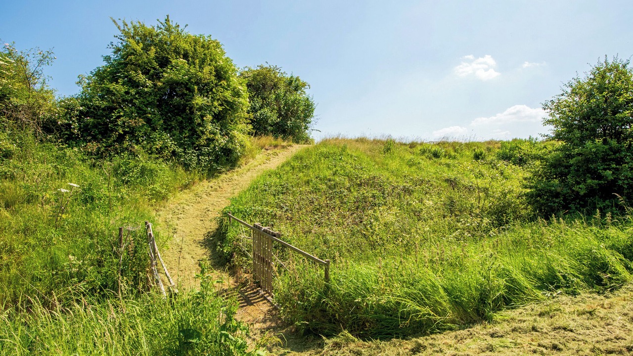 Photo of Others in Durham