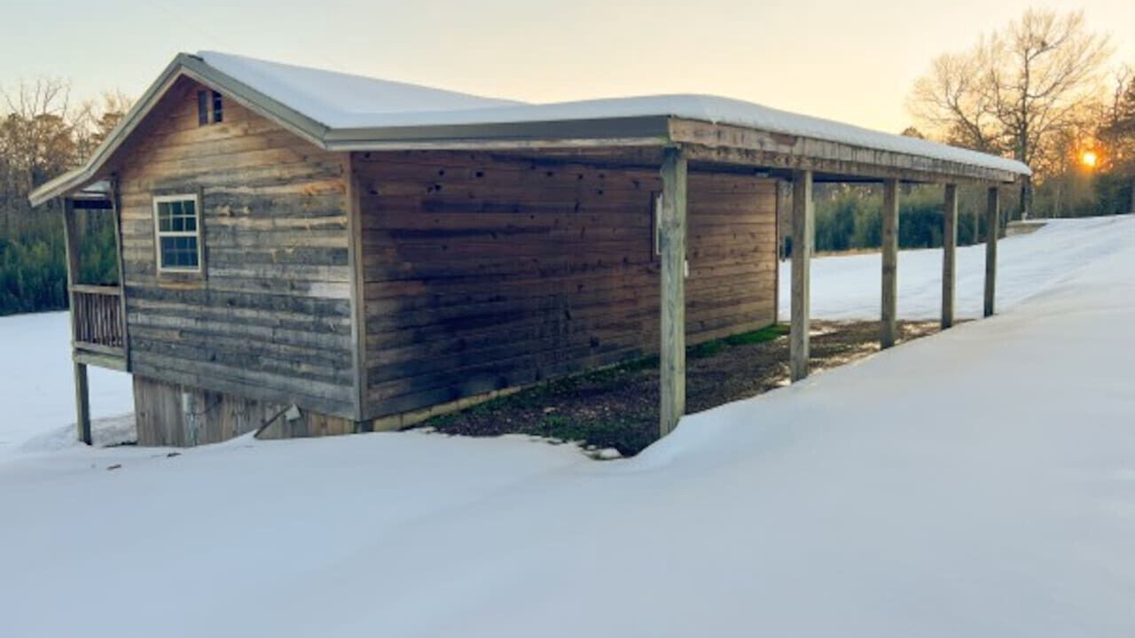 Photo of Outdoor in Daisy