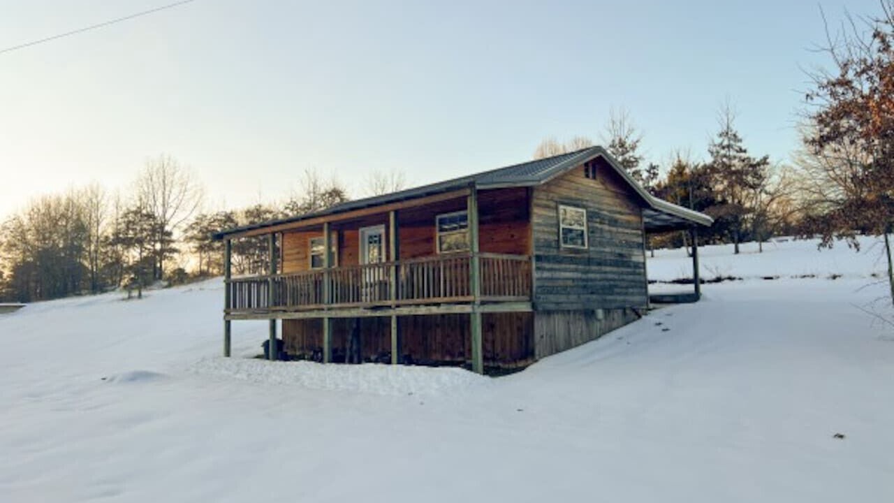 Photo of Outdoor in Daisy